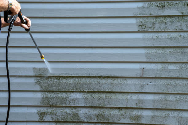 Best Yard Waste Removal  in Fort Payne, AL